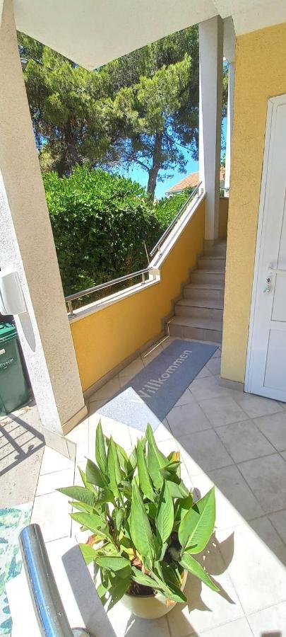 Apartments Petrovic Рогозница Екстериор снимка