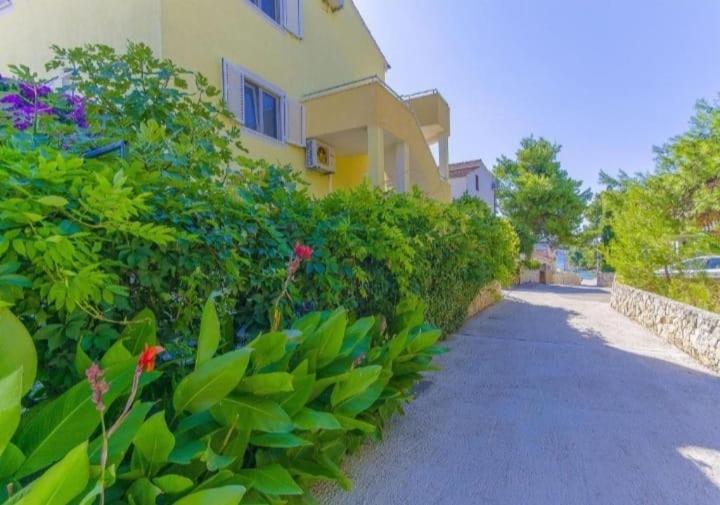Apartments Petrovic Рогозница Екстериор снимка